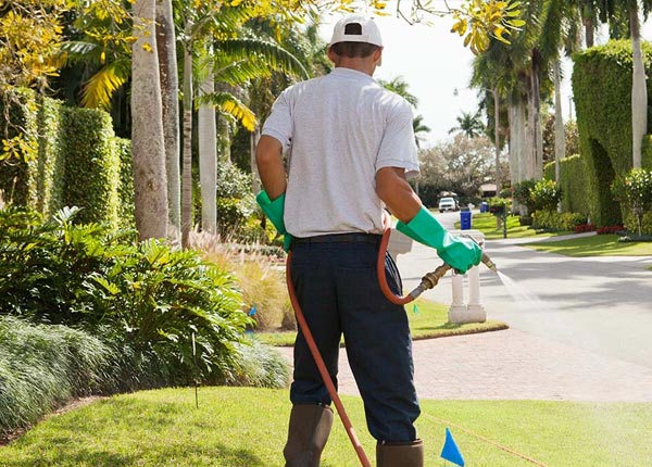 About Garland NE Pest Control